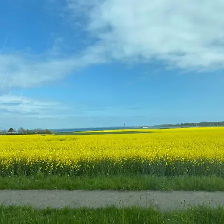 Mein-ostseeplaetzchen Haus Am 6 펜션 Niesgrau